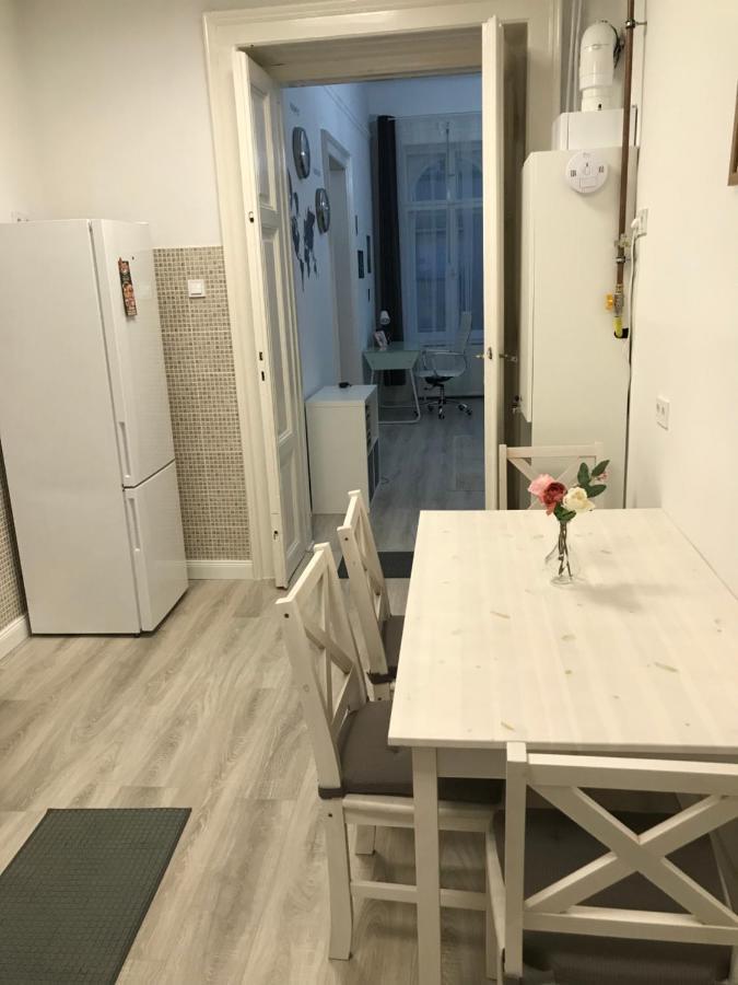 Perfect Location,Newly Decorated Modern, Large Place 60 M2, Really Quiet So You Can Have A Good Night Sleep, Ac, Netflix, Smart Tv, High-Speed Internet, World Famous New York Cafe Only 10 Minutes Walk บูดาเปสต์ ภายนอก รูปภาพ